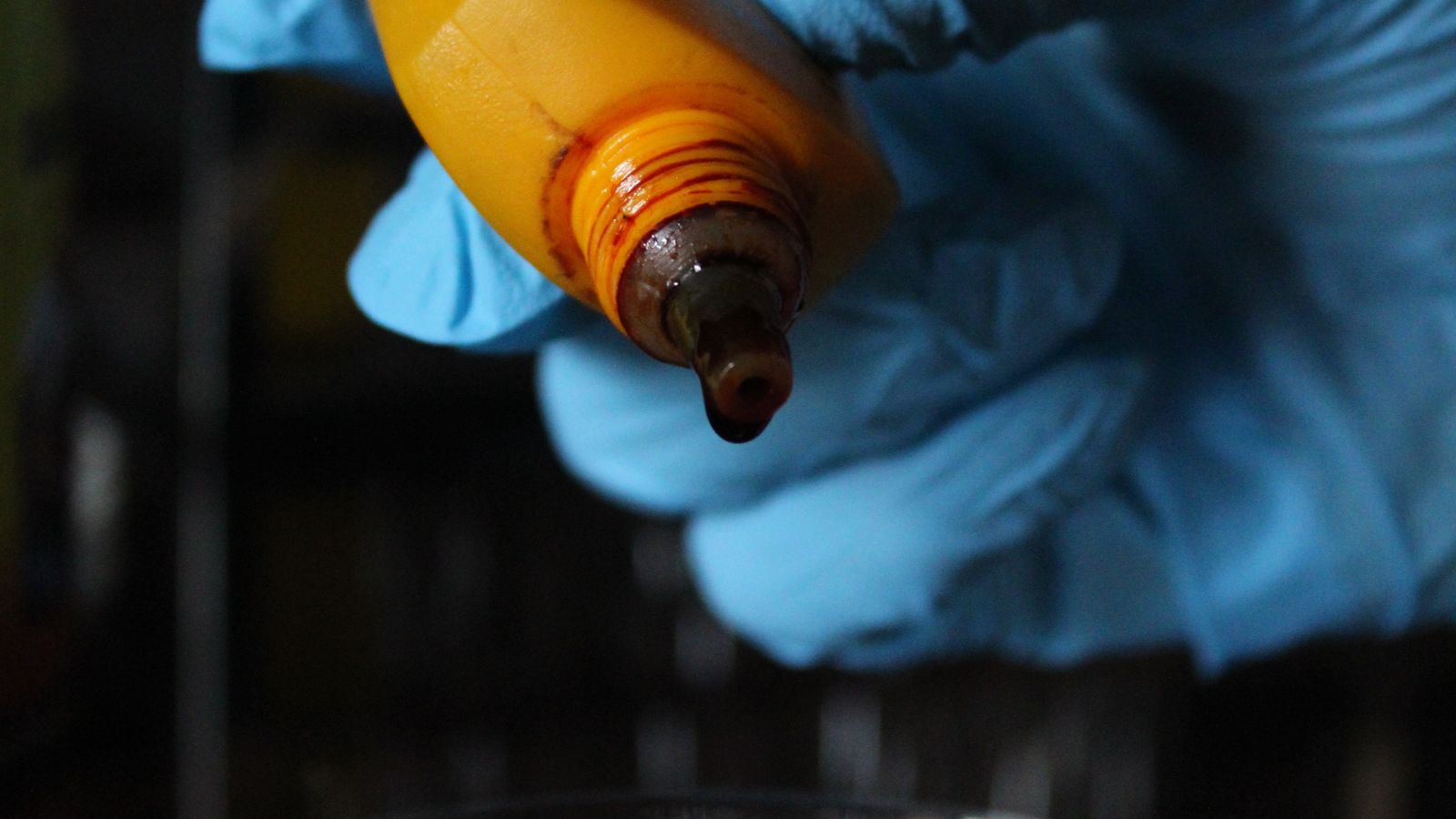A gloved hand carefully dispenses liquid from a bottle into a petri dish for scientific analysis.
